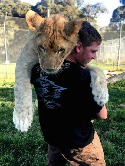 undefined{{pos:,w:,h:}}