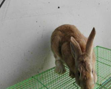 undefined{{pos:,w:,h:}}