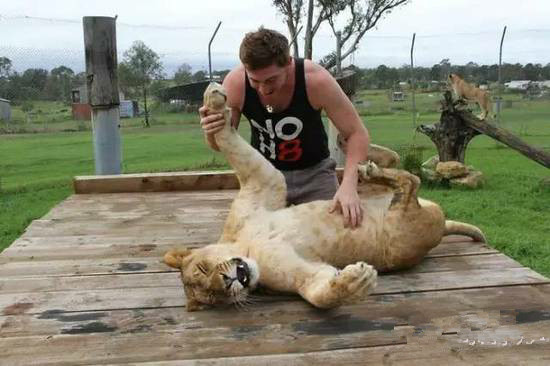 undefined{{pos:,w:,h:}}