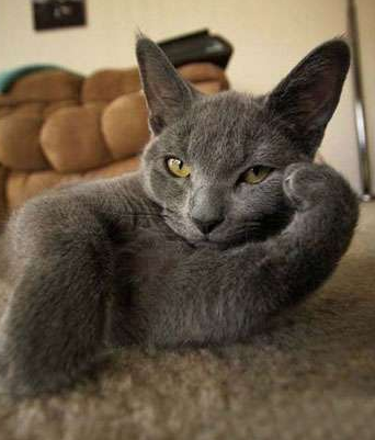 看，我的姿势诱人吗？