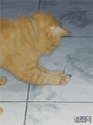 我心目中的影帝，本届奥斯卡无冕之王！