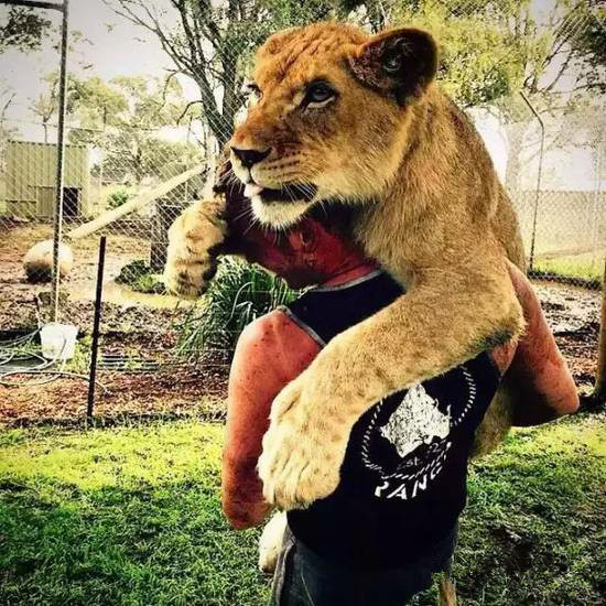 undefined{{pos:,w:,h:}}