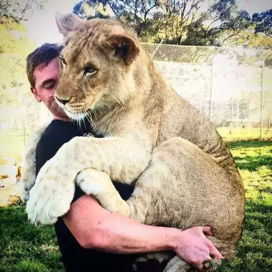 undefined{{pos:,w:,h:}}