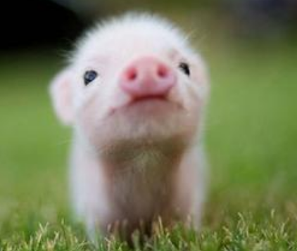 undefined{{pos:,w:,h:}}