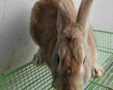 undefined{{pos:,w:,h:}}