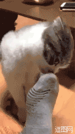 果然这只脚更臭