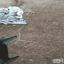 百叶窗跟我有仇