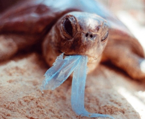 undefined{{pos:,w:,h:}}