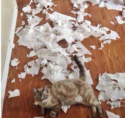 哦嗨，今天过得怎么样？！