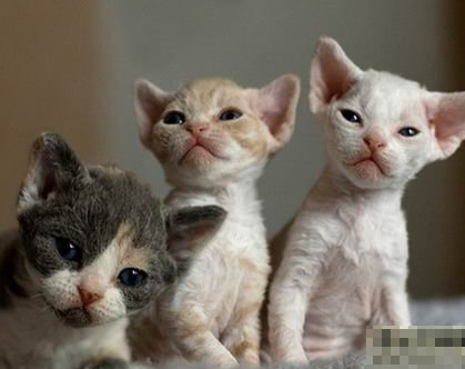 undefined{{pos:,w:,h:}}