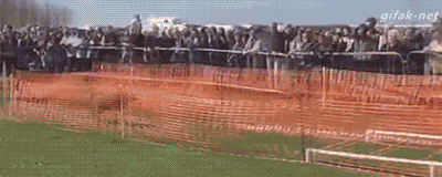 这他娘的完全就是飞啊！