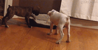 简直是欺负单身狗！！老子起来还不行吗！！