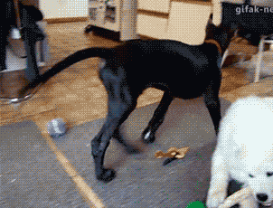 小萨啊，这要是我就绝对不能忍惹