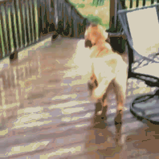 美味！！雨水超美味！！