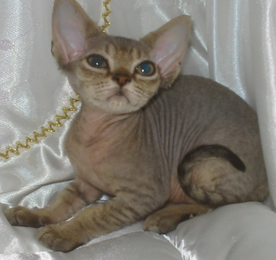 undefined{{pos:,w:,h:}}