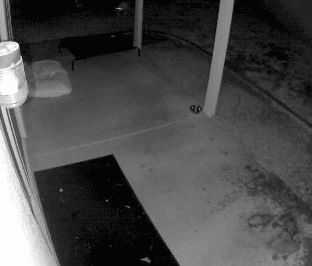 让你插队，活该