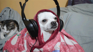 请不要试图影响我装逼