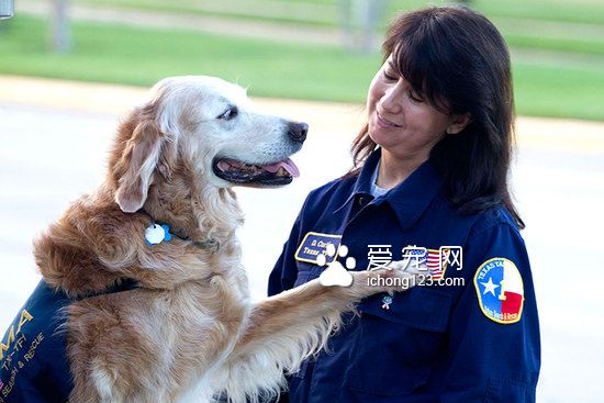 这是最后一只911搜救犬，祝它16岁生日快乐！
