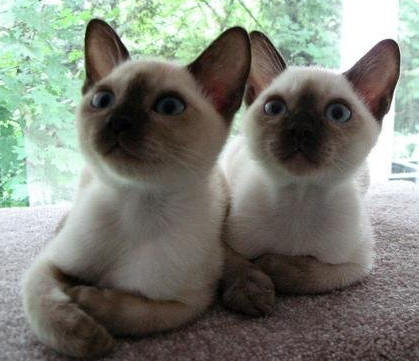 undefined{{pos:,w:,h:}}