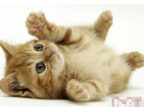 undefined{{pos:,w:,h:}}