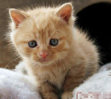 undefined{{pos:,w:,h:}}