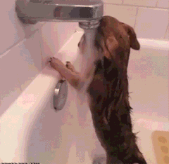 让哗哗流水带走我的烦恼！