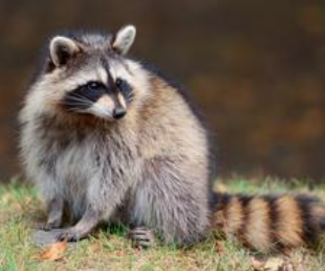 undefined{{pos:,w:,h:}}