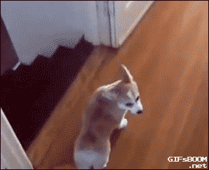 分享一个独特的下楼技巧。