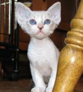 undefined{{pos:,w:,h:}}