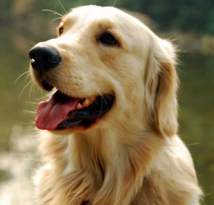 undefined{{pos:,w:,h:}}