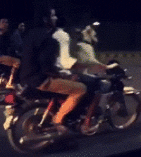 遇见一只骑车载着主人汪星人