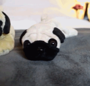 当我知道我的“朋友”都是假的时