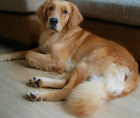 undefined{{pos:,w:,h:}}