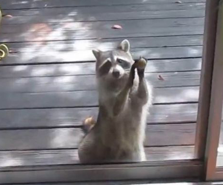 undefined{{pos:,w:,h:}}