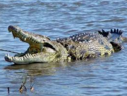 undefined{{pos:,w:,h:}}