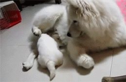 绝对是后妈……