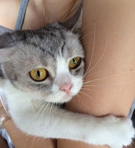 别过来，这地我承包了