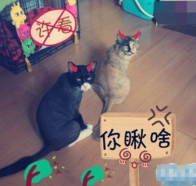 告诉你不许看，你瞅啥？