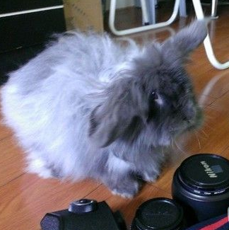 买那么多镜头，都没钱给伦家买零食和玩具了