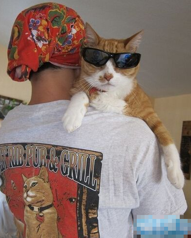 小李子，抱朕出宫