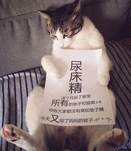 麻麻，对不起，我是尿床精