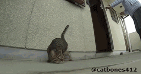 看老娘的乾坤大挪移~