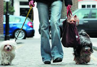 undefined{{pos:,w:,h:}}