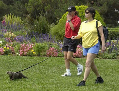 undefined{{pos:,w:,h:}}