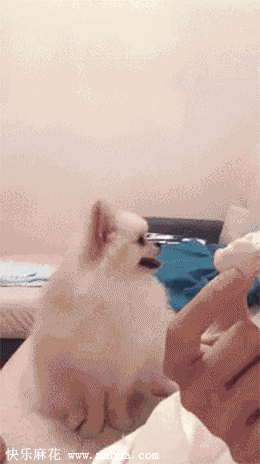 萌翻了有木有！