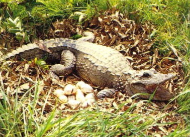 undefined{{pos:,w:,h:}}