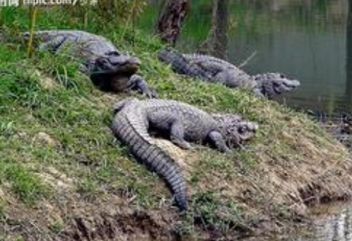 undefined{{pos:,w:,h:}}