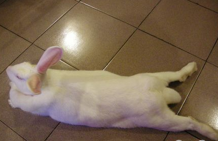 看这板鸭还标准不？