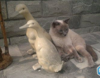 兄弟，别动，靠一会