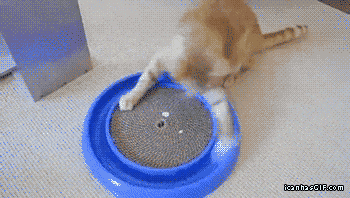 哎呦不错哦~转的挺快~